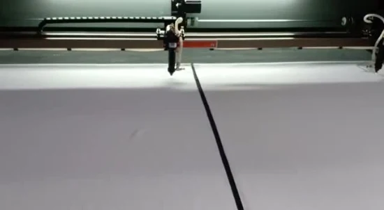 80W 100W 130W Reci Efr Yongli Spt Fabric Cloth Textiles Double Head Camera 1390 1410 1610 CO2 Laser Cutter Machine Laser Cutting Engraving Printing Machine